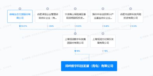 廣播電視節目制作經營 創意、規范與市場之舞